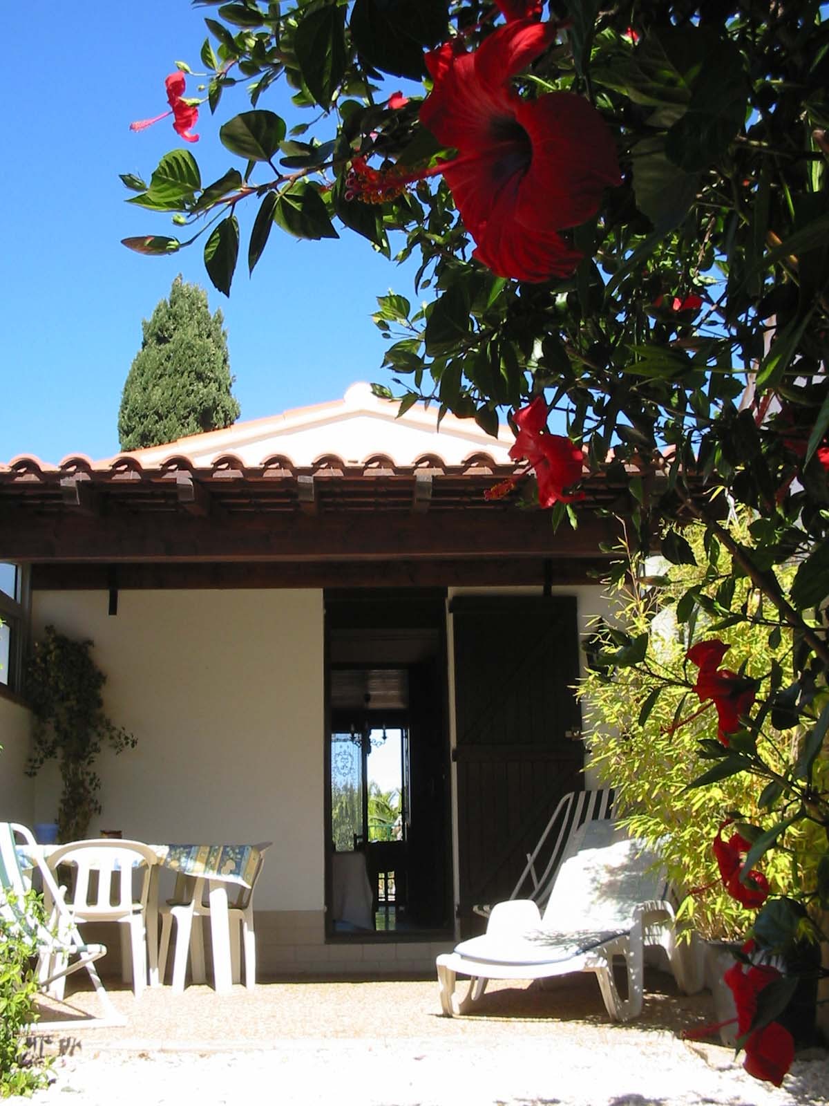 GRANDE TERRASSE AU SUD FERMEE PAR UN PORTILLON ET ACCES AU GRAND JARDIN.