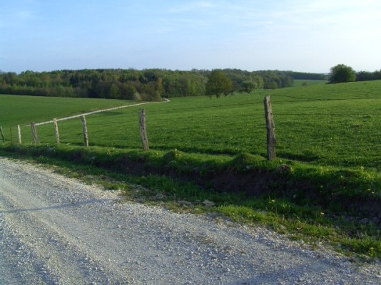 belle promenade verte et boisée