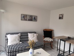 Gîte de la Mardelle - Salon avec canapé-lit