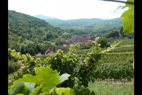Bernardvillé
