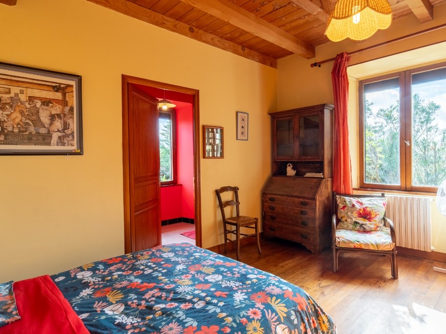 chat CHAMBRE D'HOTES LES CHATS HAUTE-VIENNE 87
