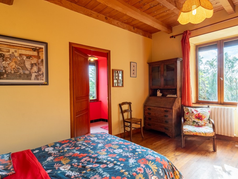 chat CHAMBRE D'HOTES LES CHATS HAUTE-VIENNE 87