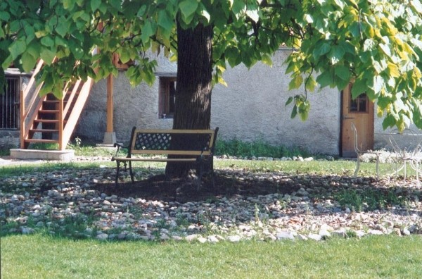 A l'ombre bienfaisante du grand catalpa au Domaine de la loge
