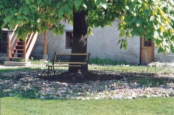 A l'ombre bienfaisante du grand catalpa au Domaine de la loge