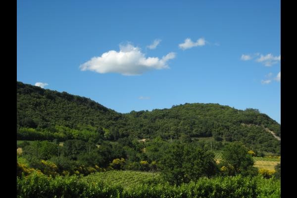 Vue extérieure derrière le Mas