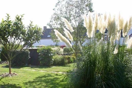 Le jardin