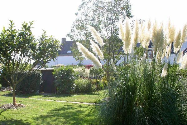 Le jardin