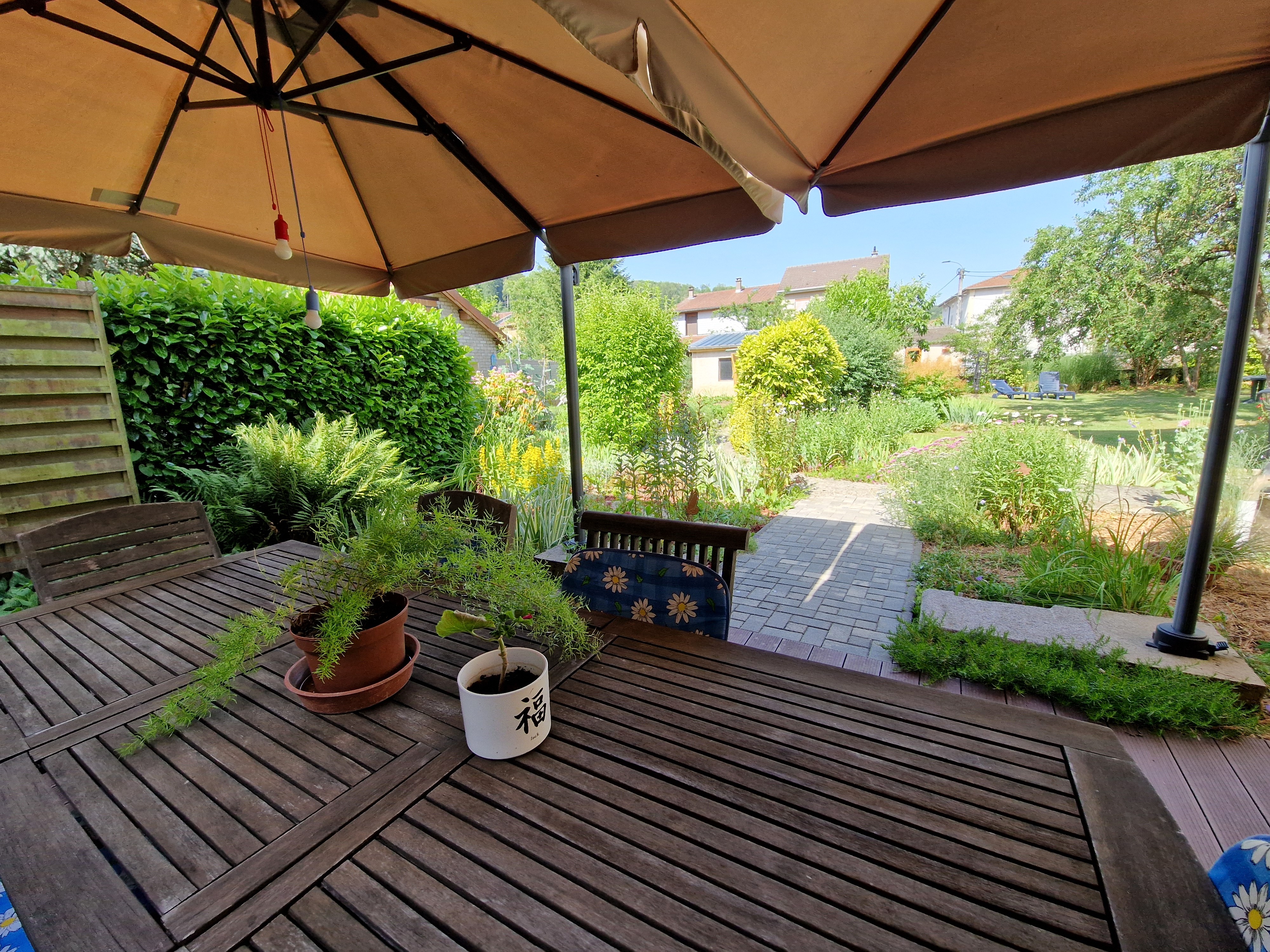 Terrasse ombragée - Chambre d'hôtes l'An XII