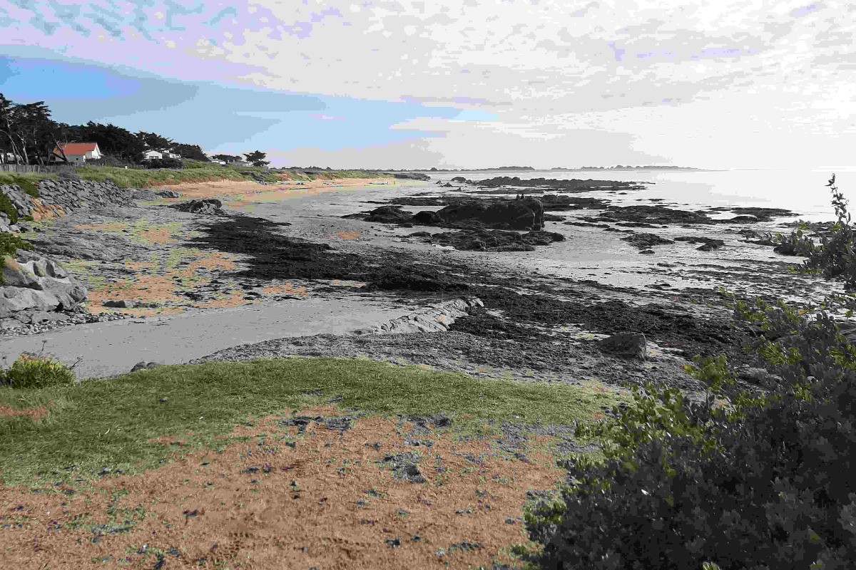 Photo n° 15 of the location