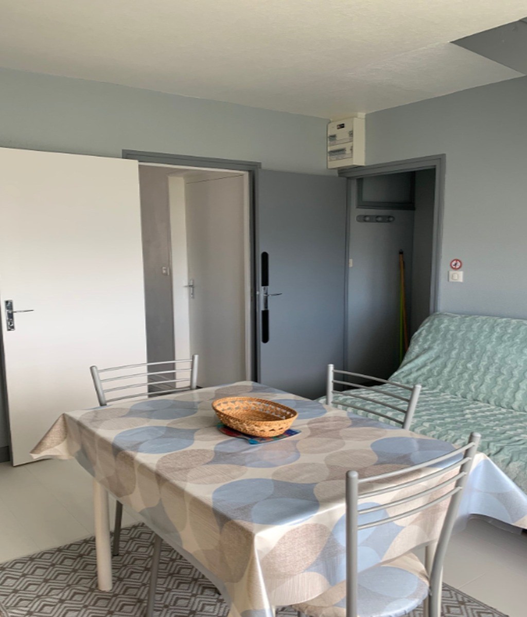 Pièce de vie avec coin cuisine aménagée et bien équipée, coin salon avec canapé convertible et TV.