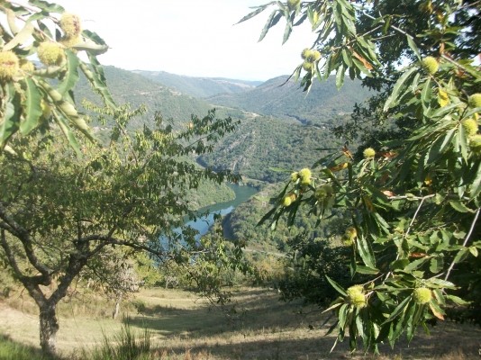 Photo n° 13 de la location