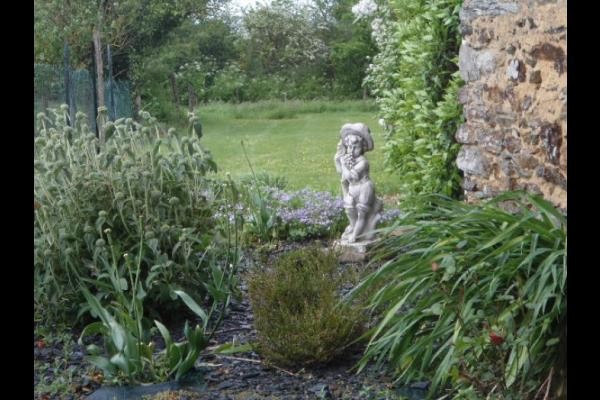 vue sur le coin des plantes
