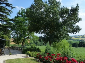 Photo n° 29 de la location