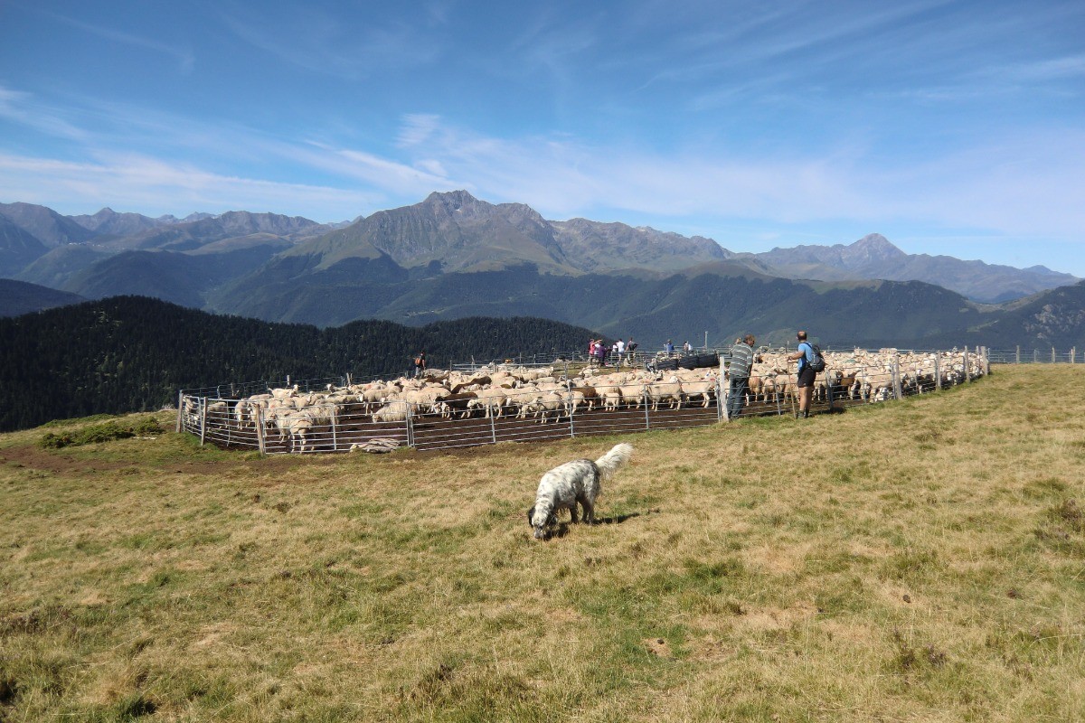 vue sur l'Arbizon depuis le Col de Sonères (à 1 h 30 à pied du village)