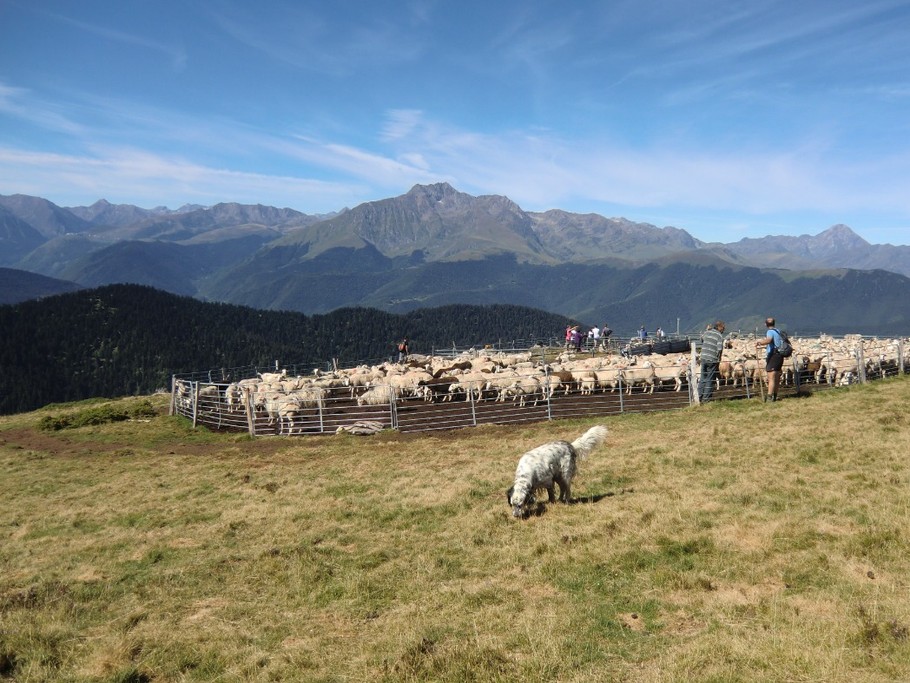 vue sur l'Arbizon depuis le Col de Sonères (à 1 h 30 à pied du village)