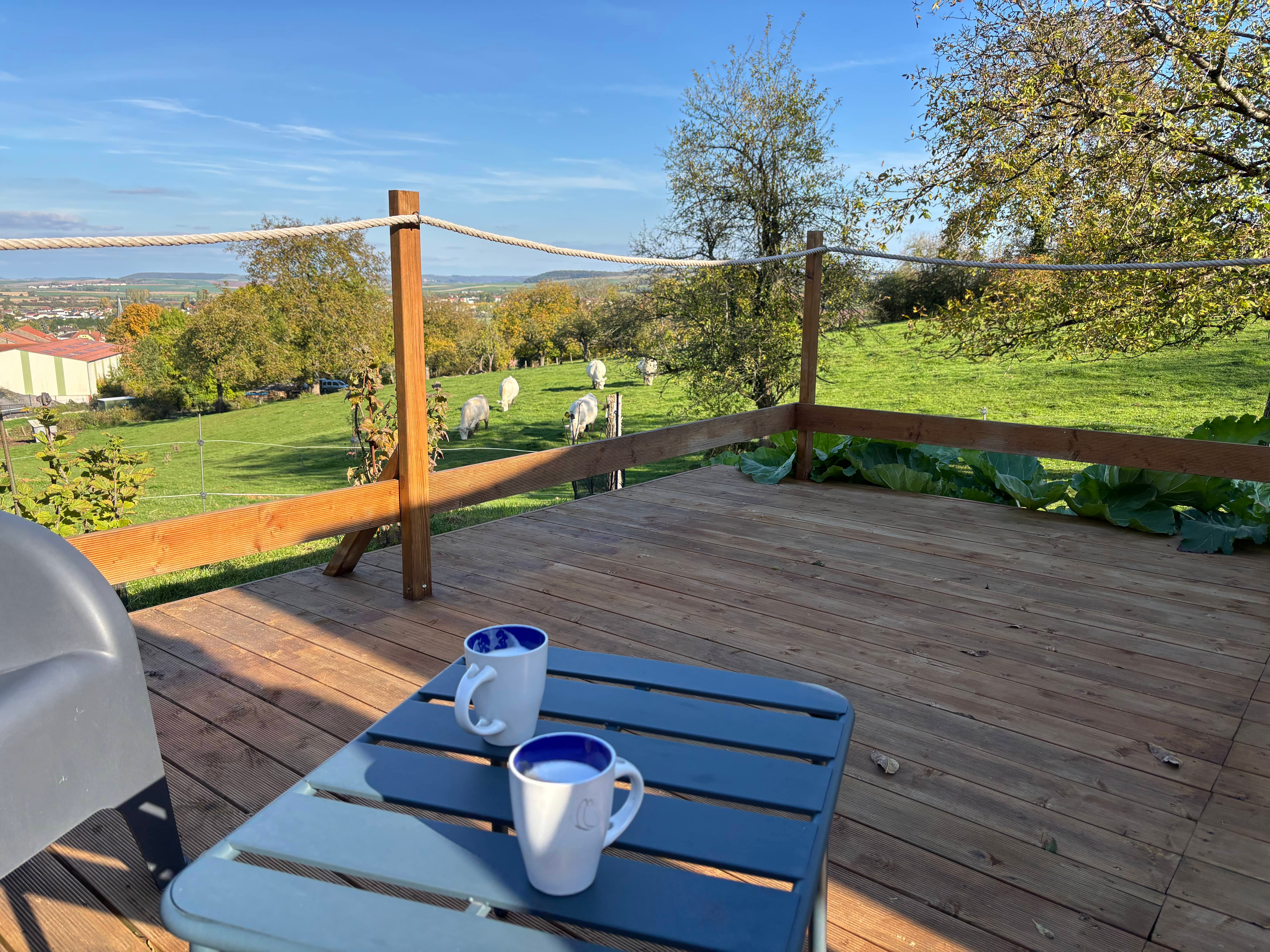 Photo n° 10 de la location