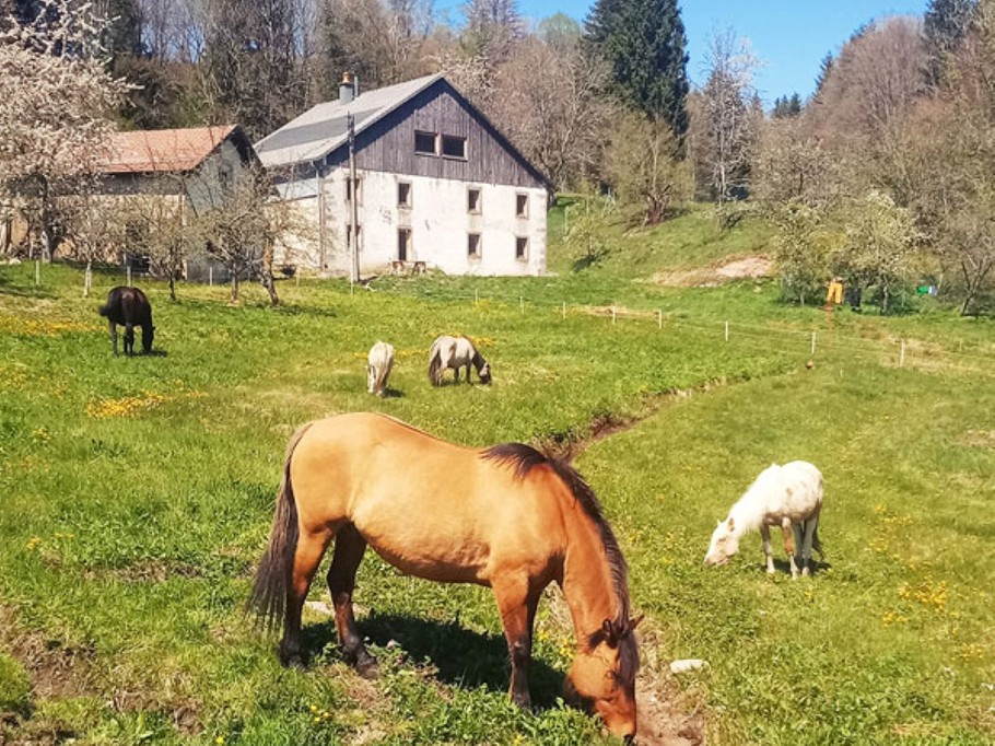 Gîtes Refuge de Création Saulxures-sur-Moselotte