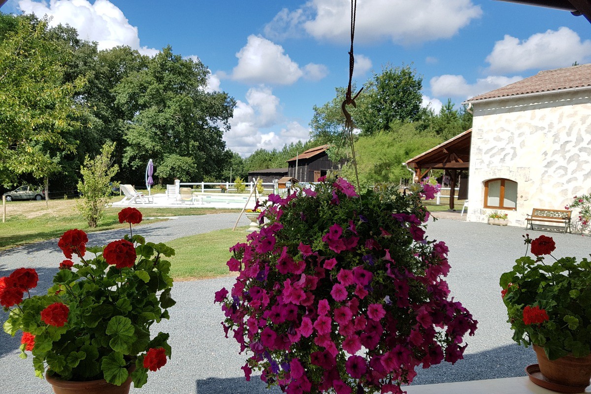 Jardin fleuri