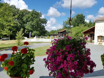 Jardin fleuri