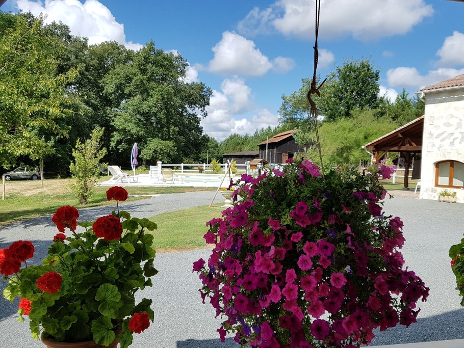Jardin fleuri