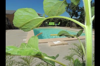 Chambres d'hôtes avec piscine dans le Parc naturel régional du Pilat - Piscine