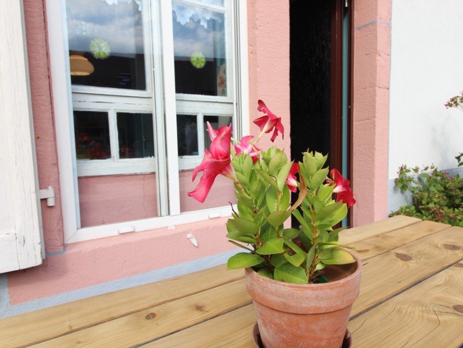 Terrasse - Appartement Granges-Aumontzey