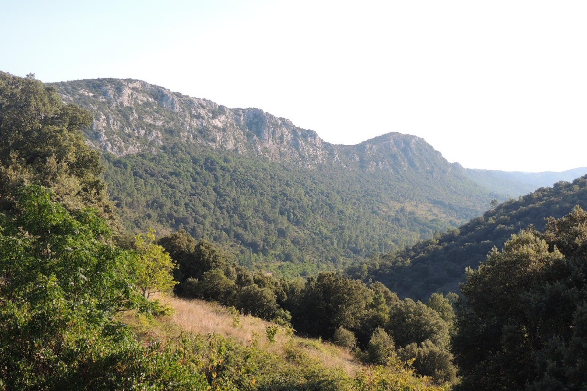 Vue sur les cévennes