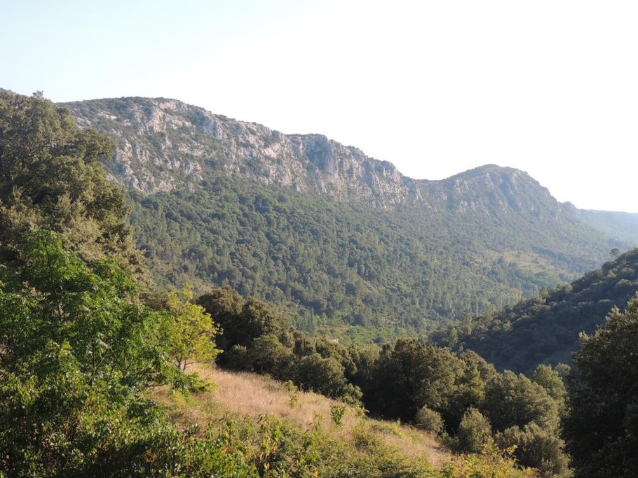 Vue sur les cévennes