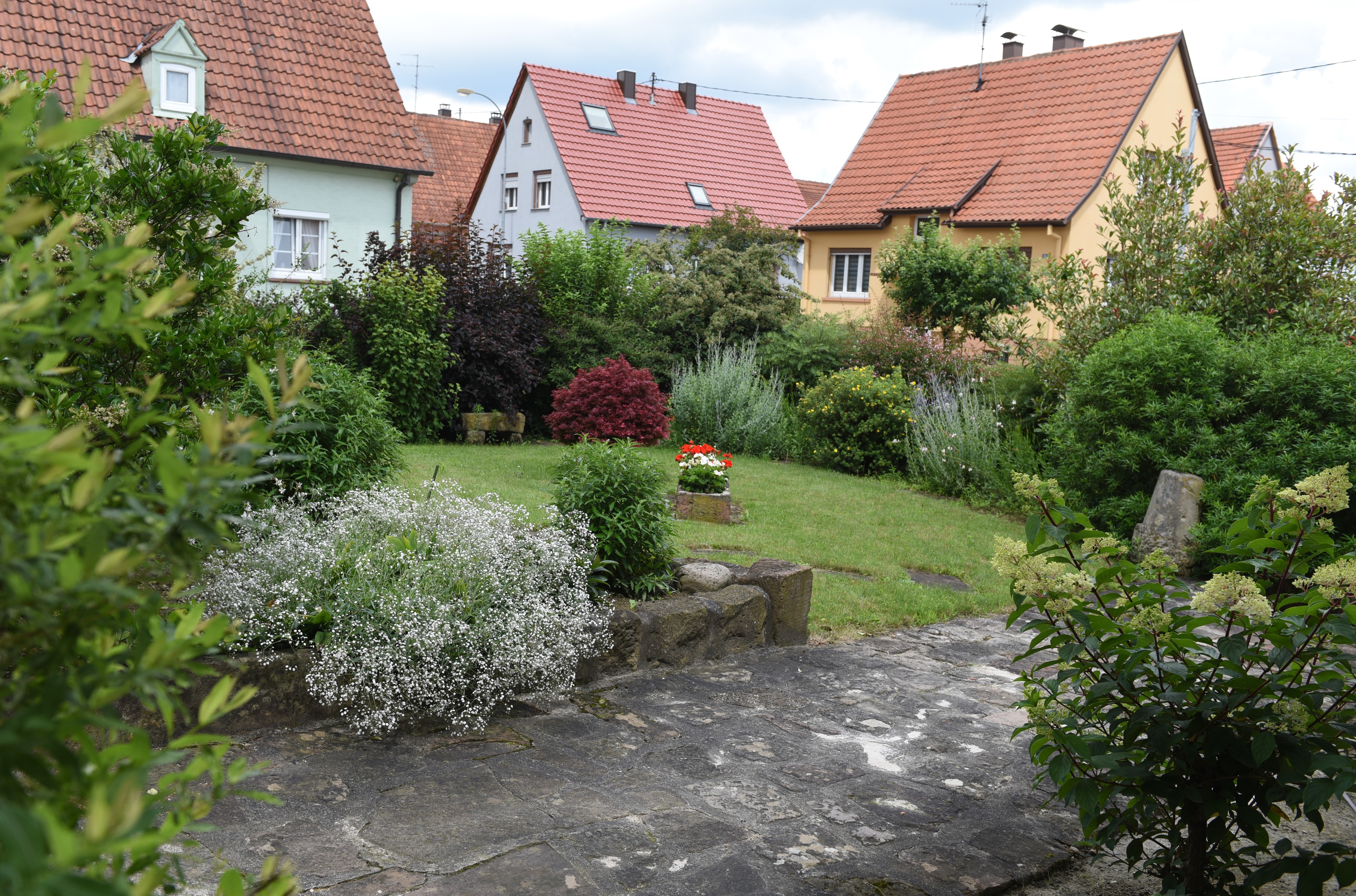 Photo n° 10 de la location