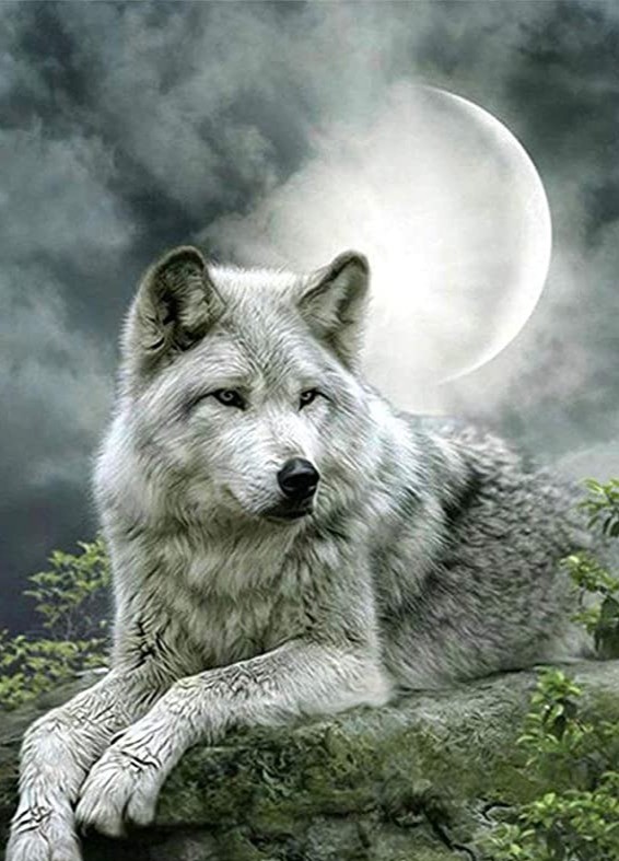 Parc aux loups... splendides paysages et randonnees... canons à neige en saison....