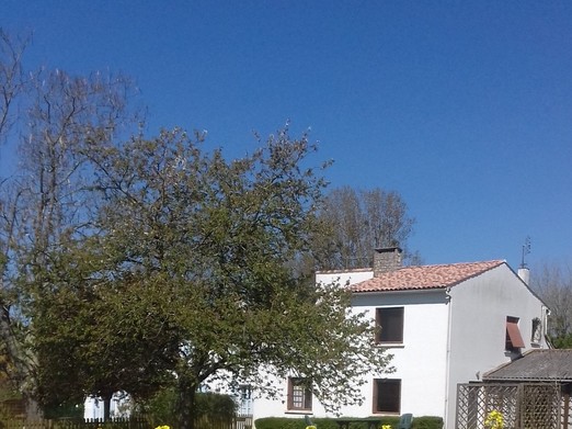 Image n° 1 de la location