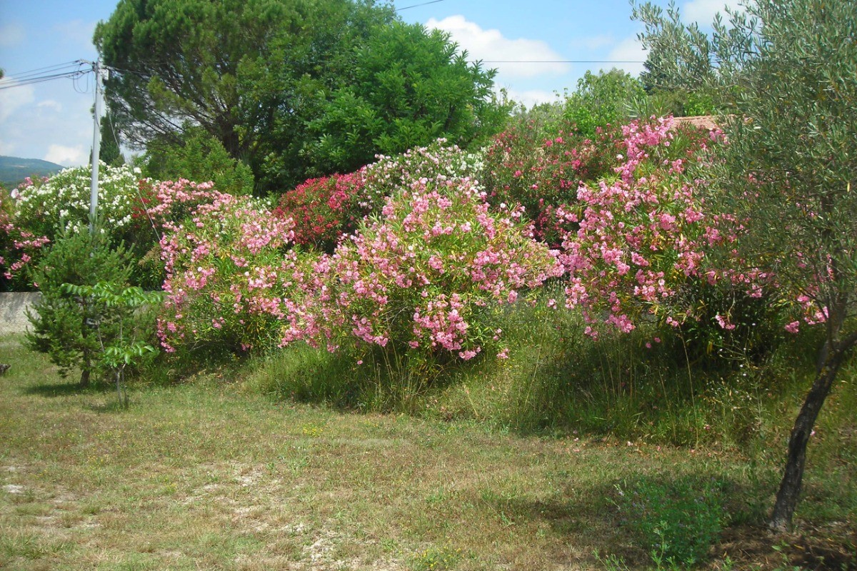 Photo n° 11 de la location