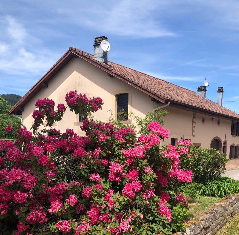 Logement entier - Maison Ferme de Grandrupt, à Saint-Dié-des-Vosges