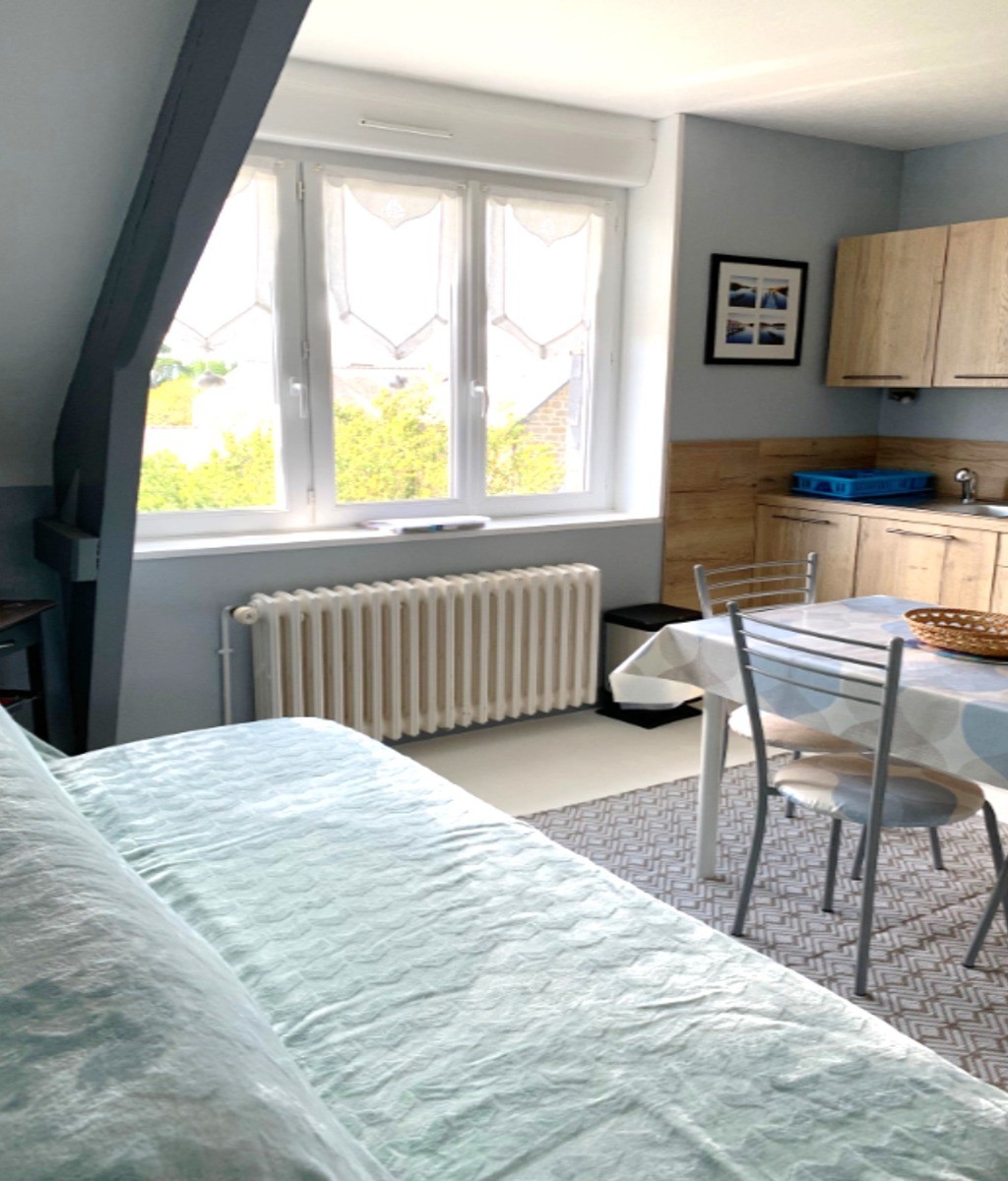 Pièce de vie avec coin cuisine aménagée et bien équipée, coin salon avec canapé convertible et TV.
