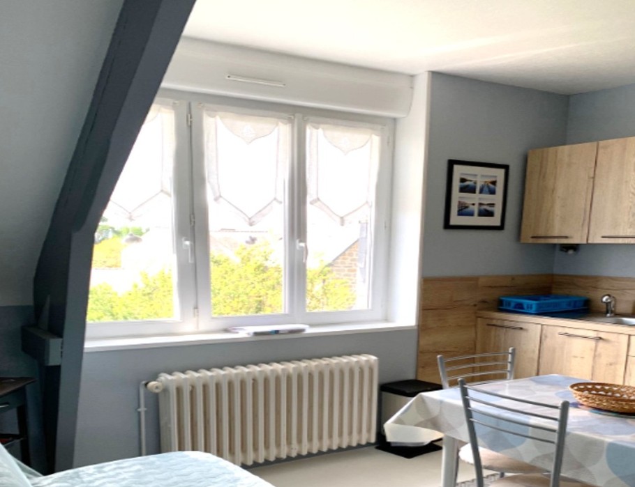 Pièce de vie avec coin cuisine aménagée et bien équipée, coin salon avec canapé convertible et TV.