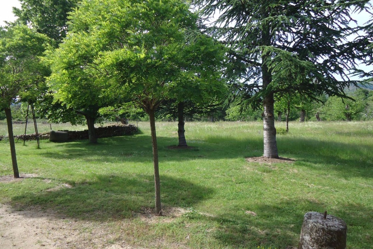 Photo n° 3 de la location