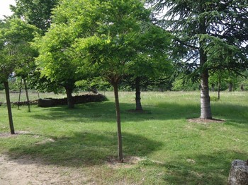 Photo n° 3 of the location