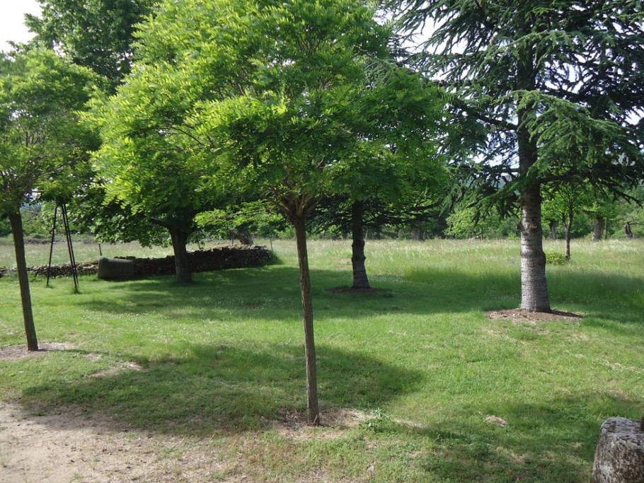 Photo n° 3 of the location