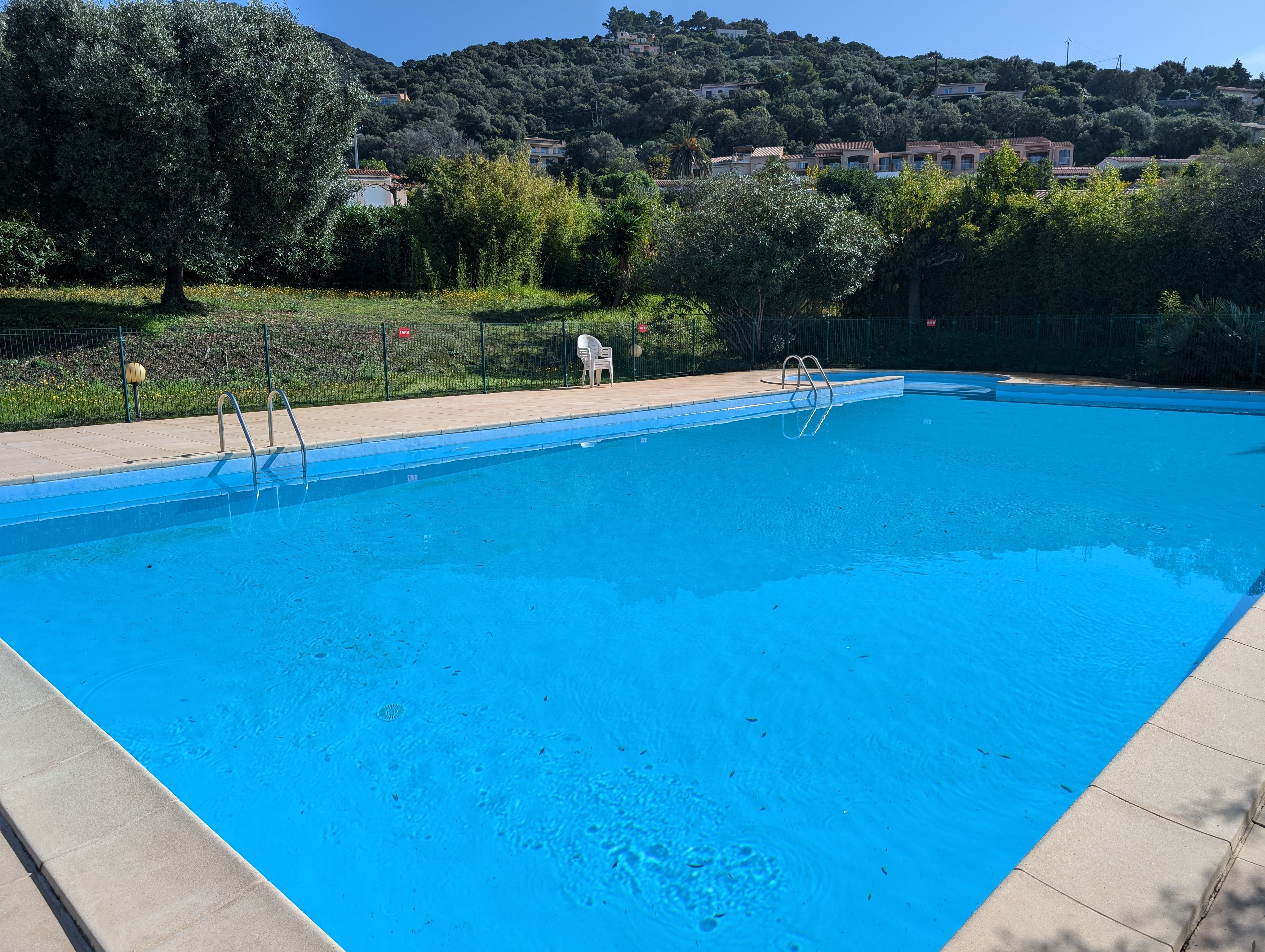 Piscine collective