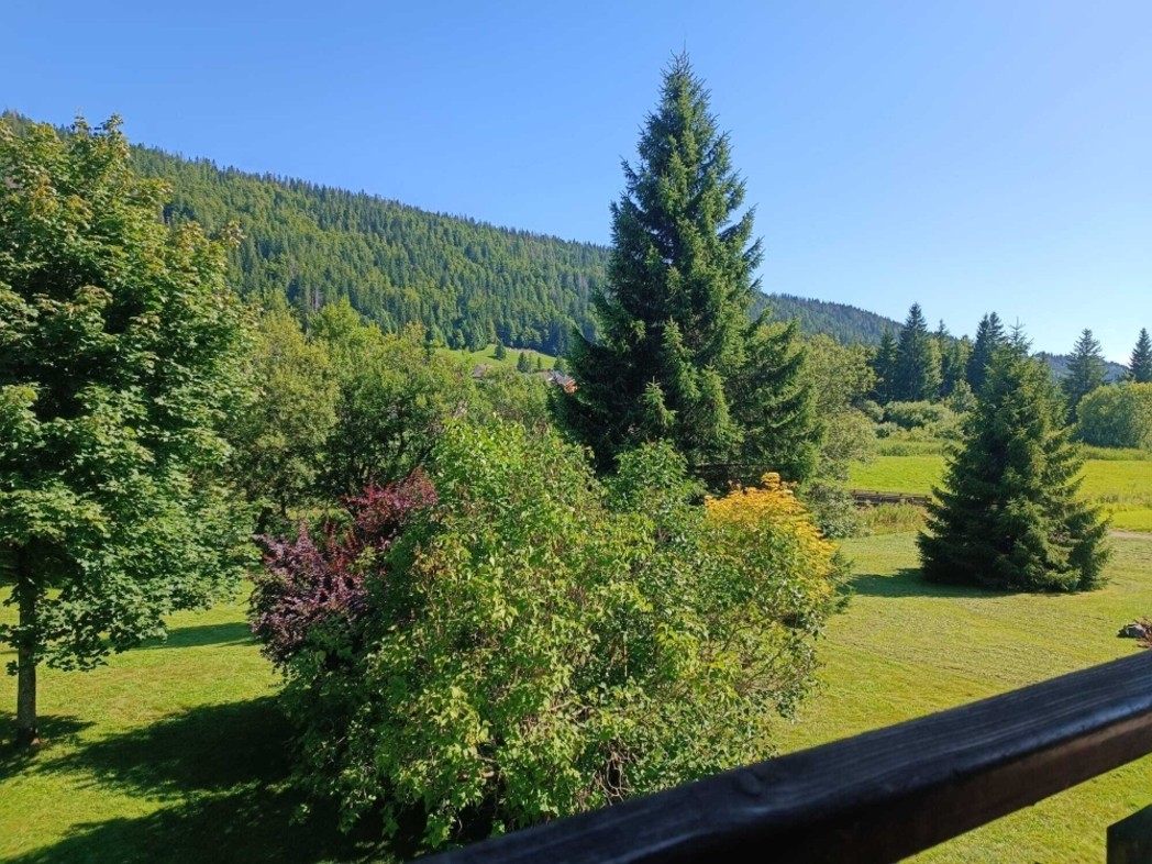Autour du chalet