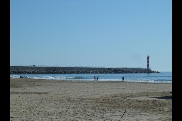 Photo n° 4 de la location