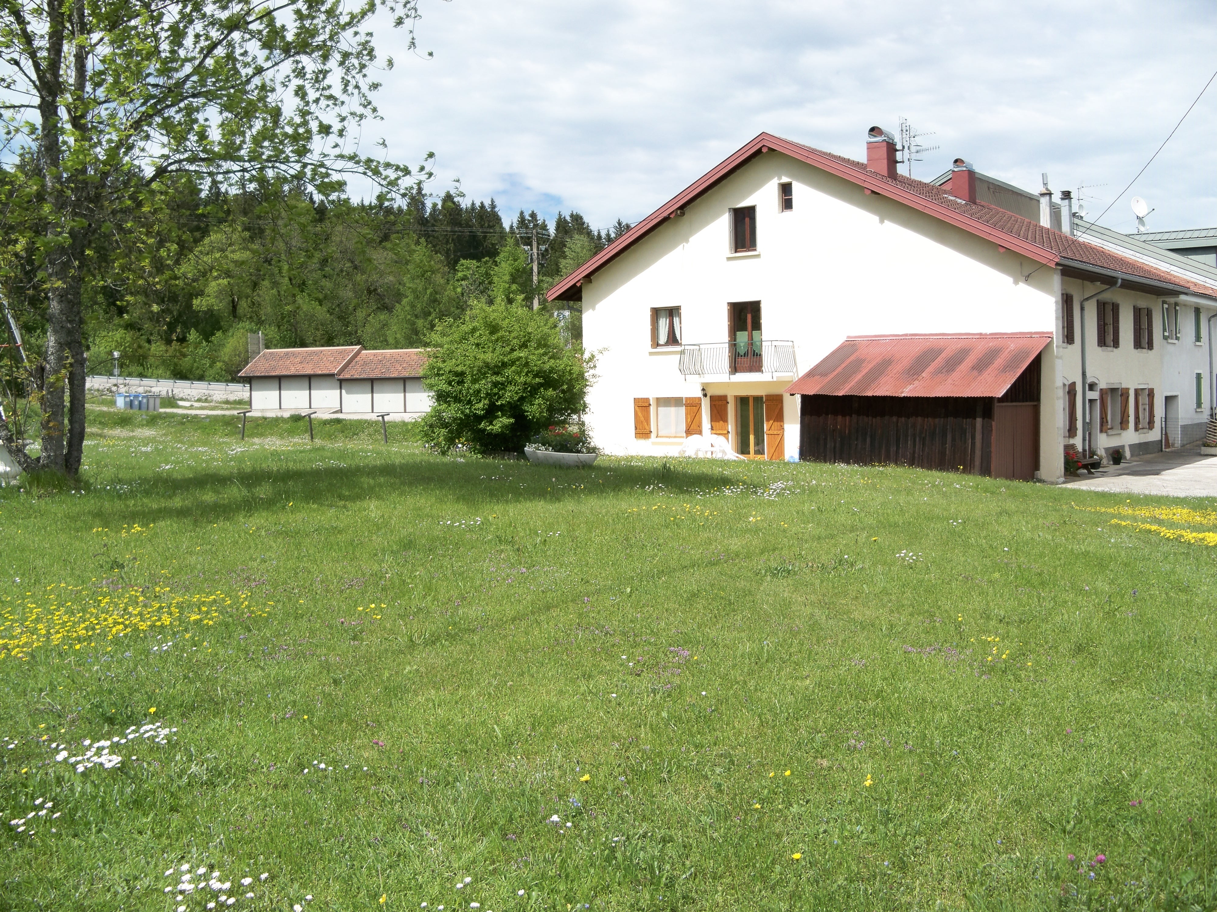 the garden
