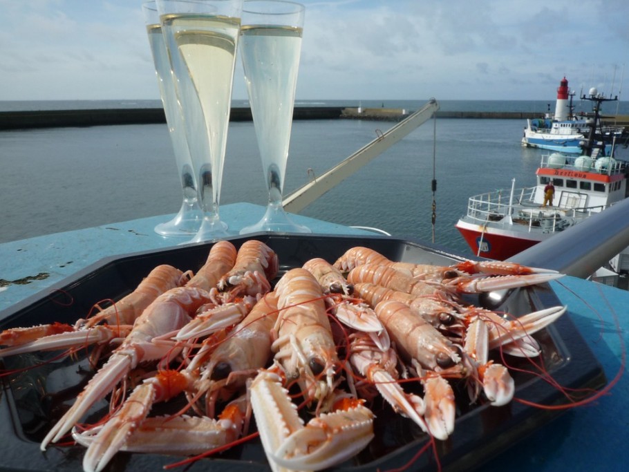 Retour des bateaux de pêche de langoustines à Lesconil