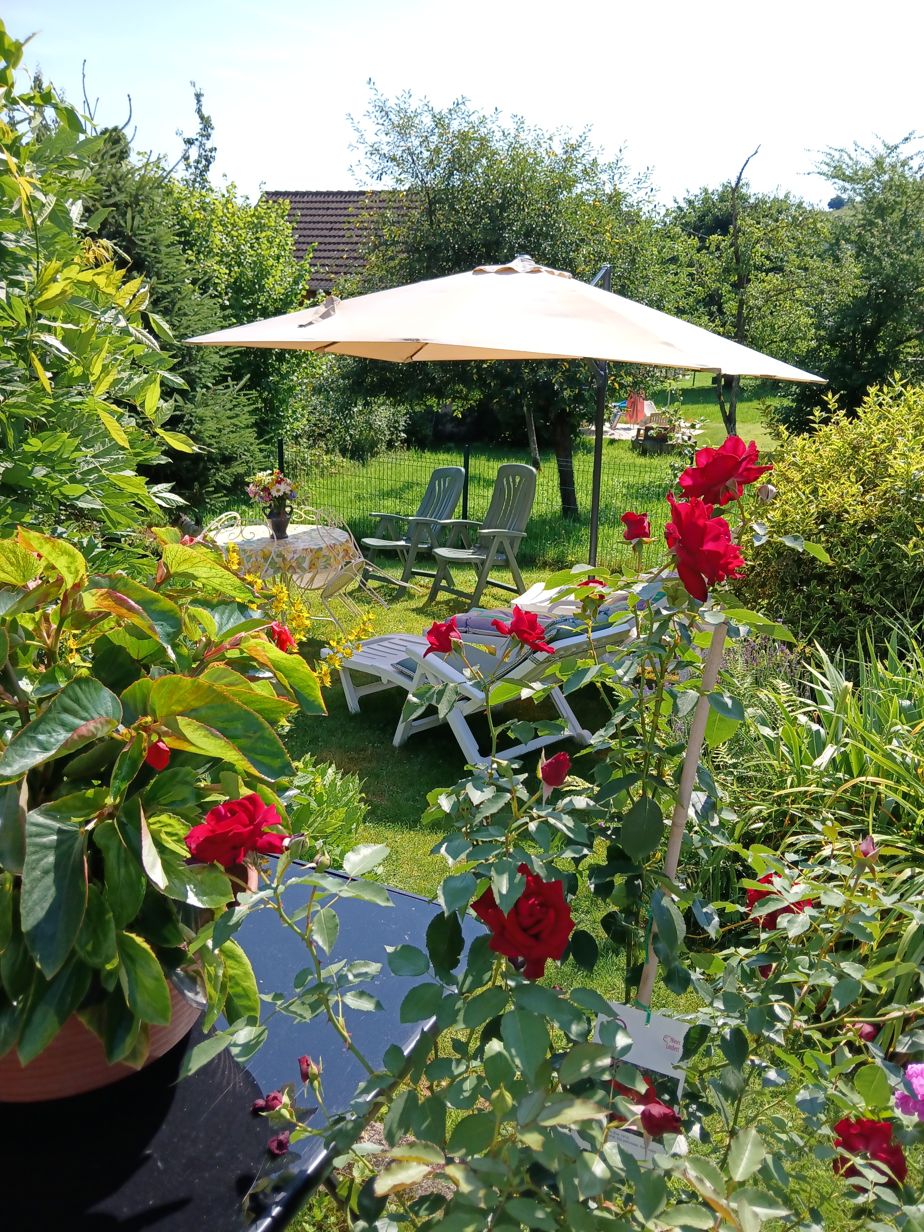 jardin gite