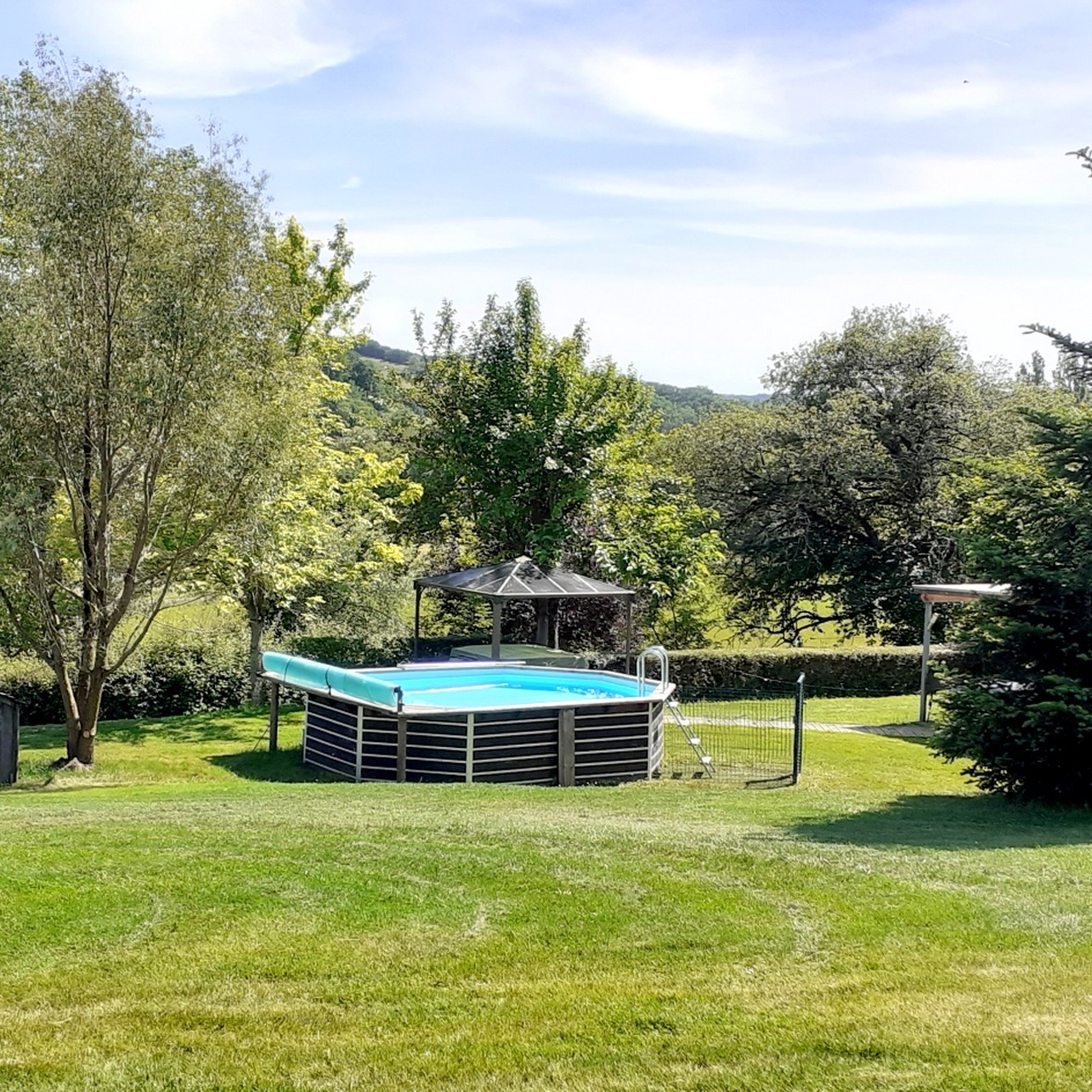Chalet Mélèze : private swimming pool in summer