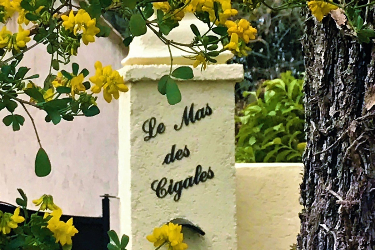 A l'orée du bois