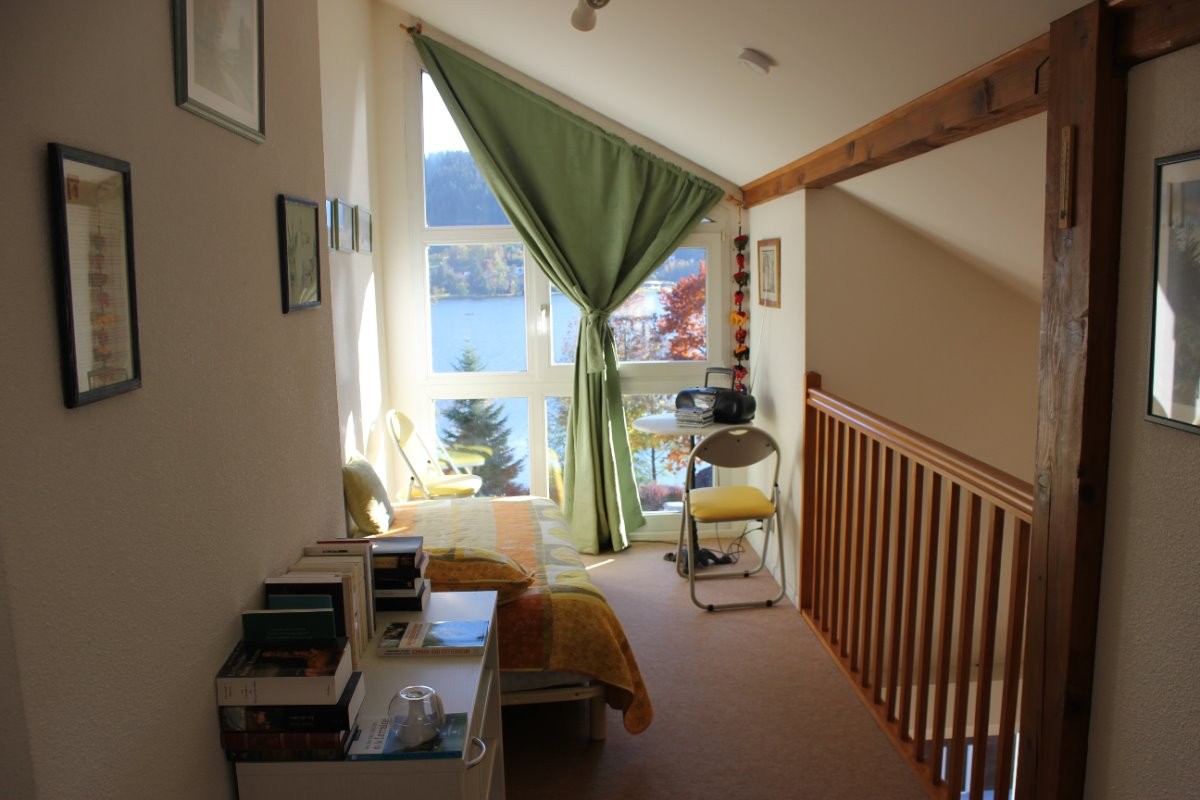 Vue lac depuis la mezzanine - Appartement au bord du lac, Gérardmer