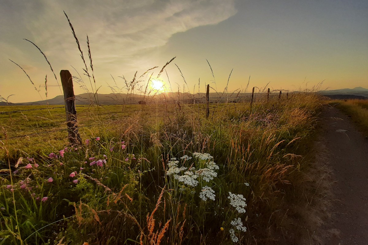 Au dessus de la maison
