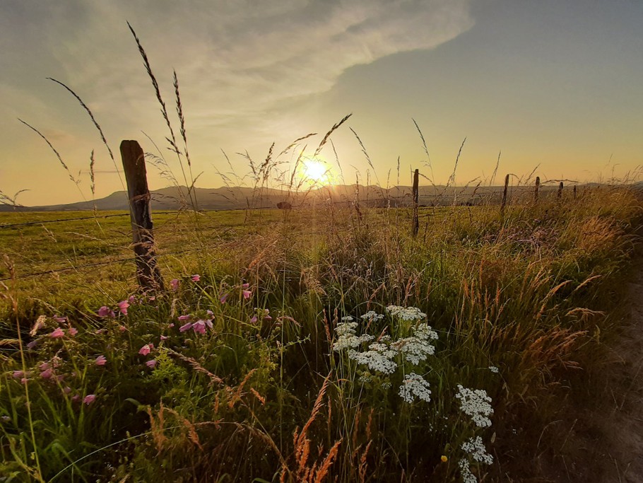 Au dessus de la maison
