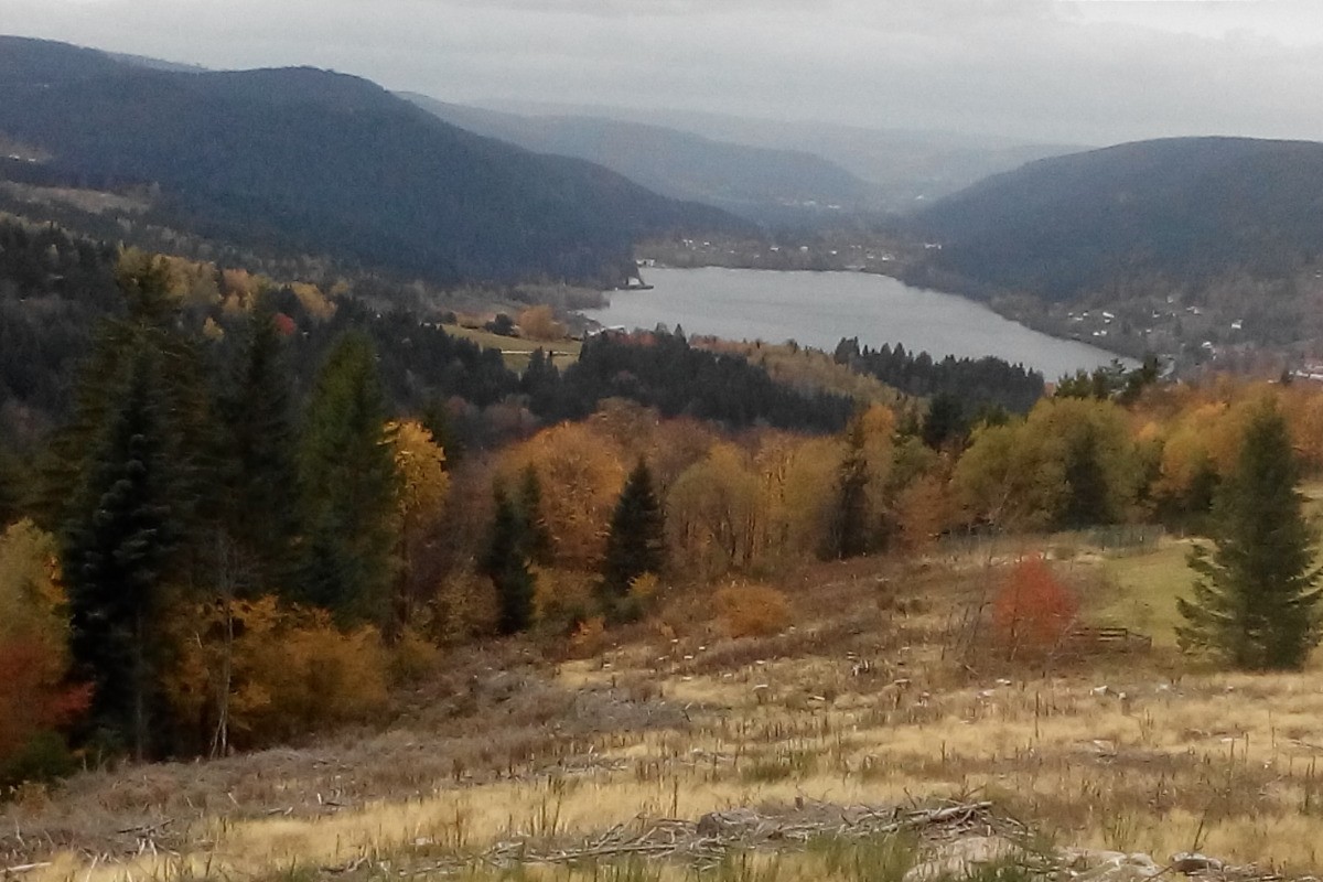 Le lac dans son écrin automnal - Séjour à Gérardmer - Appartement proche du centre ville, entre lac et nature